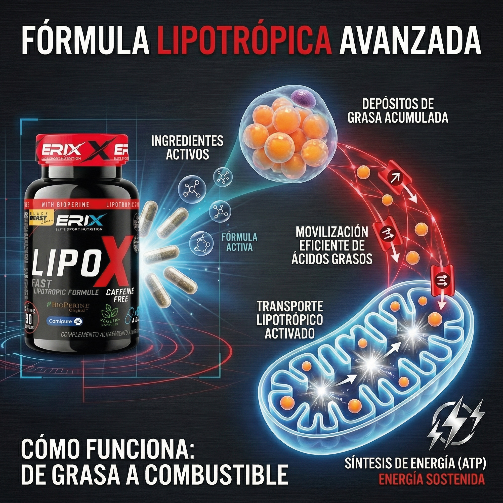 Grasa como Combustible